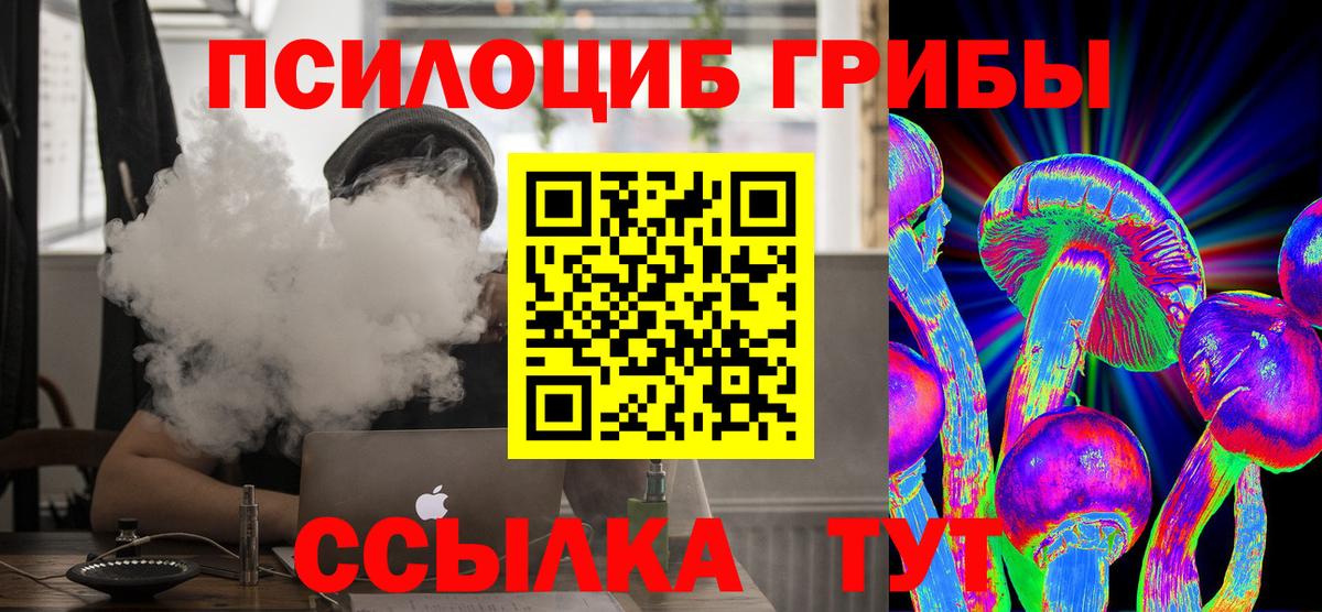 Галлюциногенные грибы мицелий  Псилоцибиновые грибы ЛСД  Гусев  Вход с VPN 