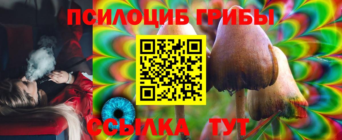 Галлюциногенные грибы Psilocybine cubensis Гусев